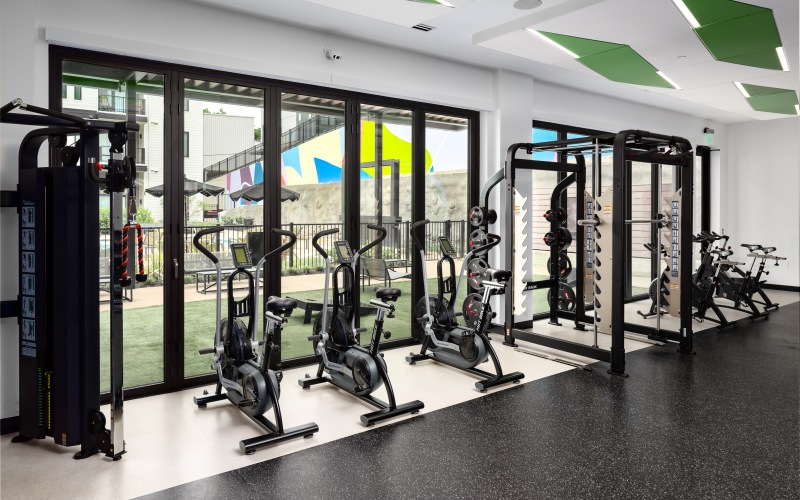 fitness equipment in the gym overlooking the pool mural