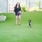 Dog Park